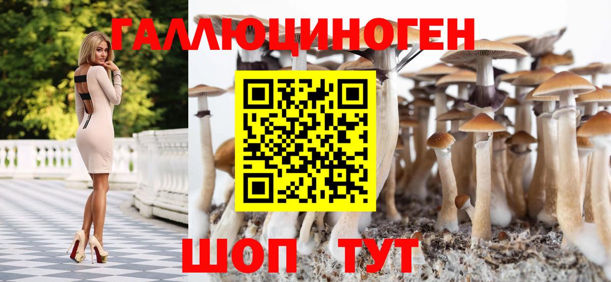 Псилоцибиновые грибы мухоморы  Вход с VPN  Серов 