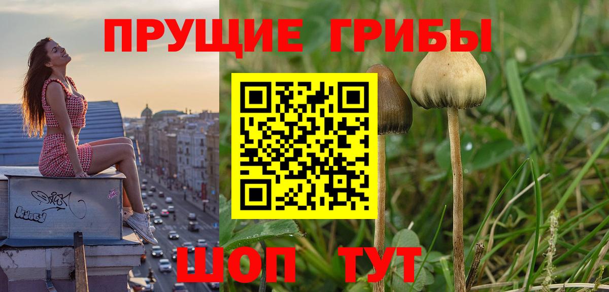Галлюциногенные грибы мицелий Серов